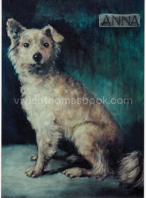 Vivien Thomas’s sweet looking lab dog named Anna had this portrait painted to commemorate her role in being the first dog who survived both parts of Vivien Thomas’s experimental operations (first, when he operated on her heart to lessen the oxygen in her blood circulation, and next, when he corrected this heart defect) to successfully save many thousands of Blue Babies.