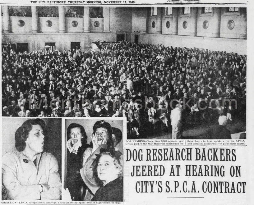 Vivien Thomas's Blue Baby surgery helped set off this confrontational 1949 Baltimore animal rights protest.